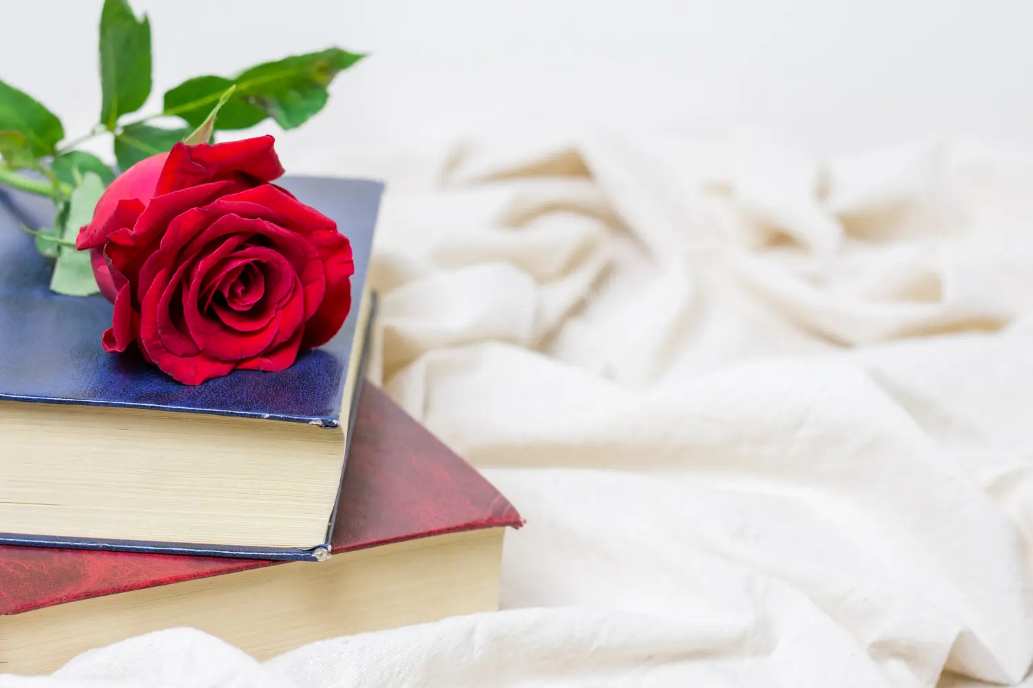 Libros sobre maternidad y crianza colocados junto a una rosa en Sant Jordi