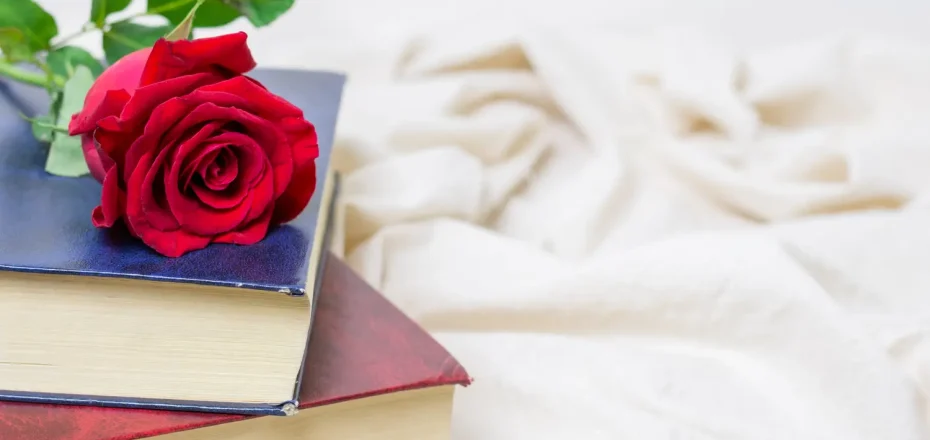Libros sobre maternidad y crianza colocados junto a una rosa en Sant Jordi